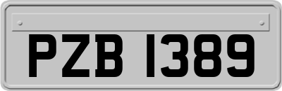 PZB1389