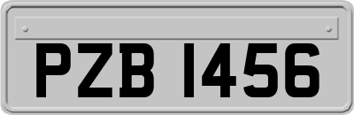 PZB1456