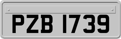 PZB1739