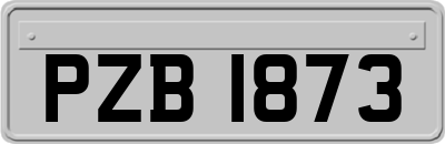PZB1873