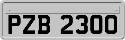 PZB2300