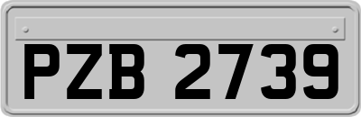 PZB2739