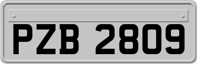 PZB2809