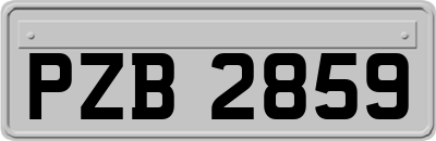 PZB2859