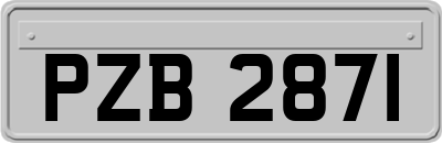 PZB2871