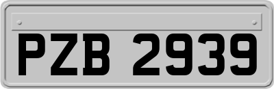 PZB2939