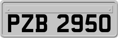 PZB2950