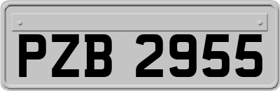 PZB2955