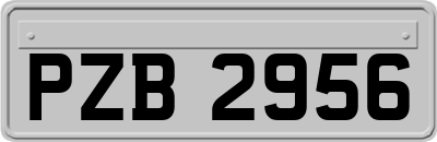 PZB2956