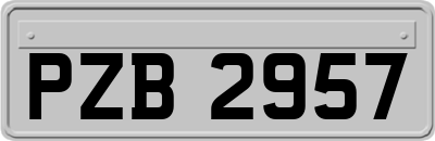 PZB2957