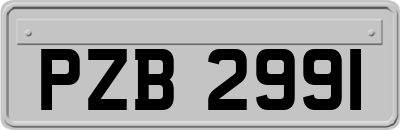 PZB2991
