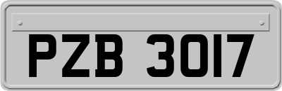 PZB3017
