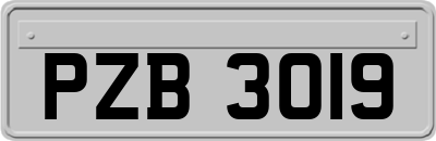 PZB3019