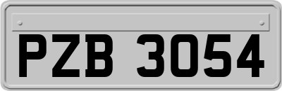PZB3054
