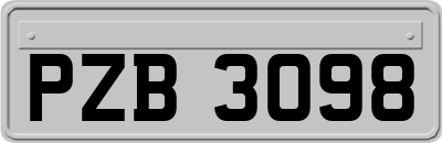 PZB3098