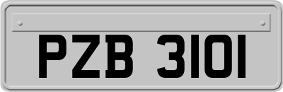 PZB3101