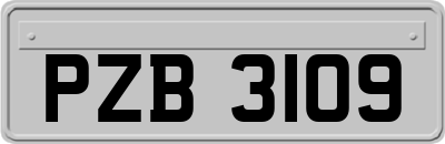 PZB3109