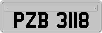 PZB3118
