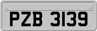 PZB3139