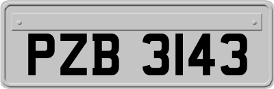 PZB3143
