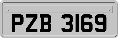 PZB3169