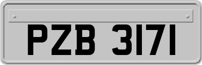 PZB3171