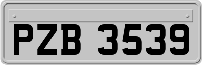 PZB3539