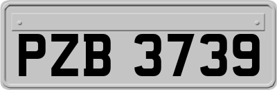 PZB3739