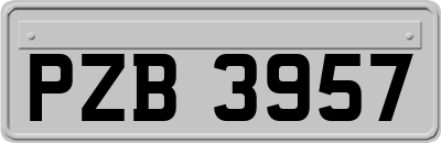 PZB3957