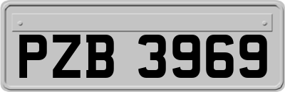 PZB3969