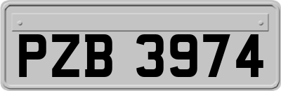 PZB3974