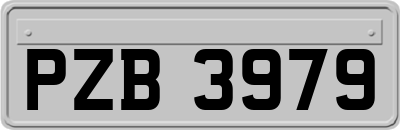 PZB3979