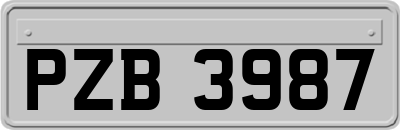 PZB3987