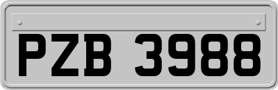 PZB3988