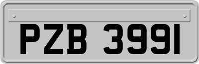 PZB3991