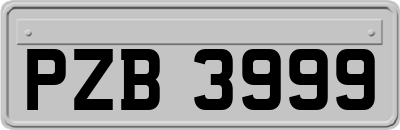 PZB3999