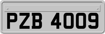 PZB4009