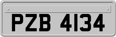 PZB4134