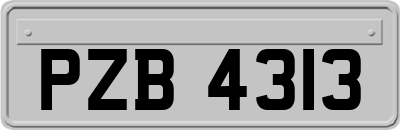 PZB4313