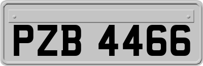 PZB4466