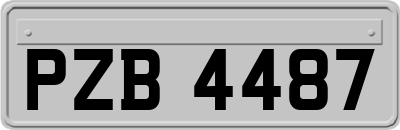 PZB4487