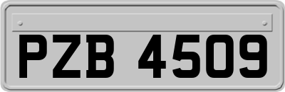 PZB4509