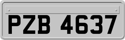 PZB4637