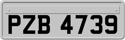 PZB4739