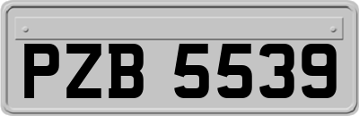 PZB5539