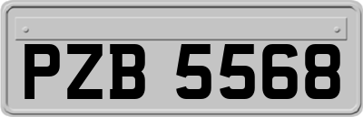 PZB5568