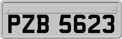 PZB5623