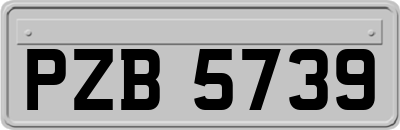 PZB5739