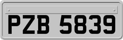 PZB5839