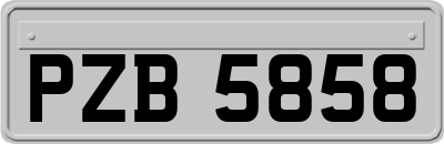 PZB5858